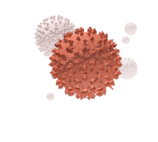 인유두종바이러스(HPV)